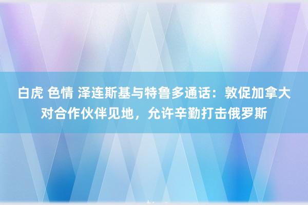 白虎 色情 泽连斯基与特鲁多通话：敦促加拿大对合作伙伴见地，允许辛勤打击俄罗斯