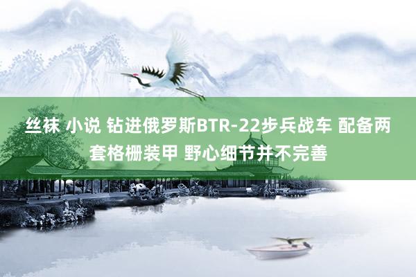 丝袜 小说 钻进俄罗斯BTR-22步兵战车 配备两套格栅装甲 野心细节并不完善