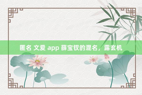 匿名 文爱 app 薛宝钗的混名，露玄机