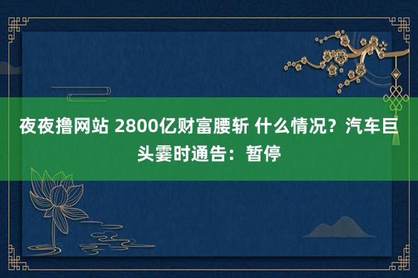 夜夜撸网站 2800亿财富腰斩 什么情况？汽车巨头霎时通告：暂停