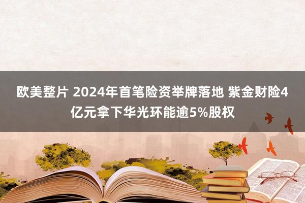 欧美整片 2024年首笔险资举牌落地 紫金财险4亿元拿下华光环能逾5%股权