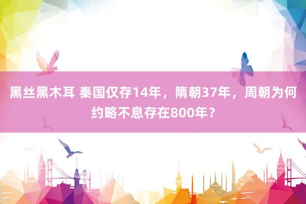 黑丝黑木耳 秦国仅存14年，隋朝37年，周朝为何约略不息存在800年？