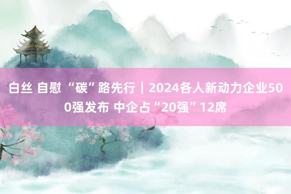 白丝 自慰 “碳”路先行｜2024各人新动力企业500强发布 中企占“20强”12席