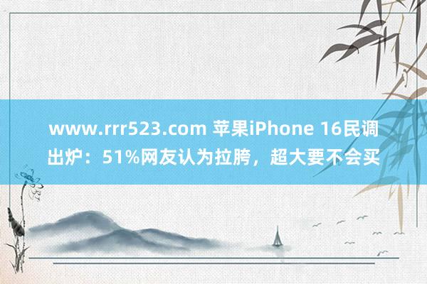 www.rrr523.com 苹果iPhone 16民调出炉：51%网友认为拉胯，超大要不会买