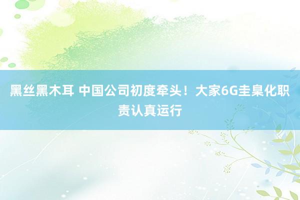 黑丝黑木耳 中国公司初度牵头！大家6G圭臬化职责认真运行