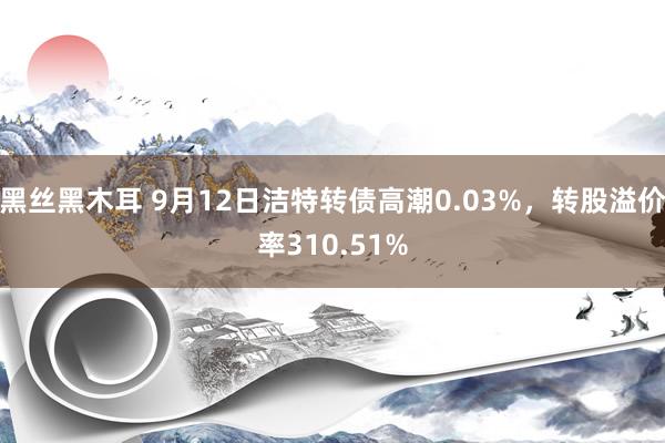 黑丝黑木耳 9月12日洁特转债高潮0.03%，转股溢价率310.51%