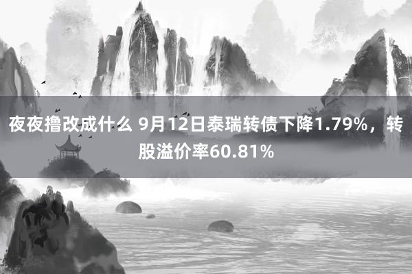 夜夜撸改成什么 9月12日泰瑞转债下降1.79%，转股溢价率60.81%