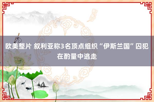 欧美整片 叙利亚称3名顶点组织“伊斯兰国”囚犯在酌量中逃走