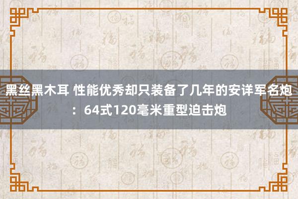 黑丝黑木耳 性能优秀却只装备了几年的安详军名炮：64式120毫米重型迫击炮