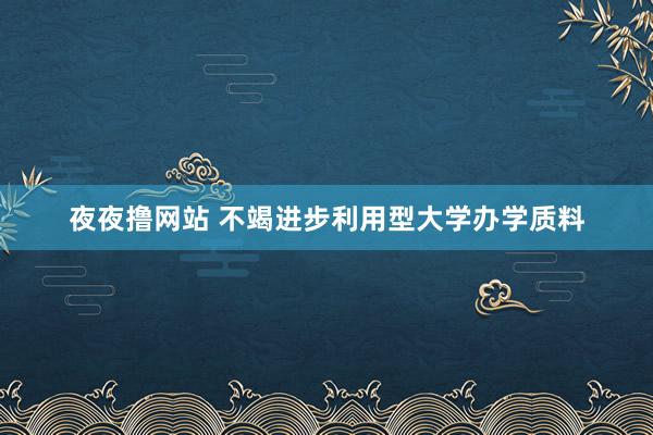 夜夜撸网站 不竭进步利用型大学办学质料