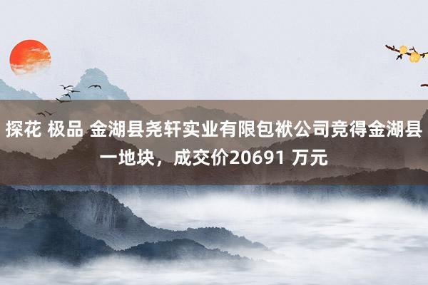 探花 极品 金湖县尧轩实业有限包袱公司竞得金湖县一地块，成交价20691 万元