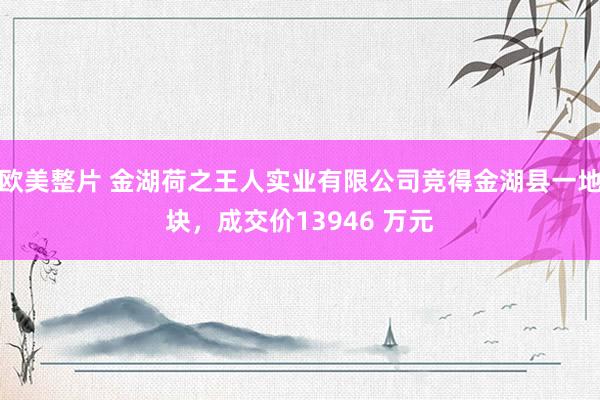 欧美整片 金湖荷之王人实业有限公司竞得金湖县一地块，成交价13946 万元