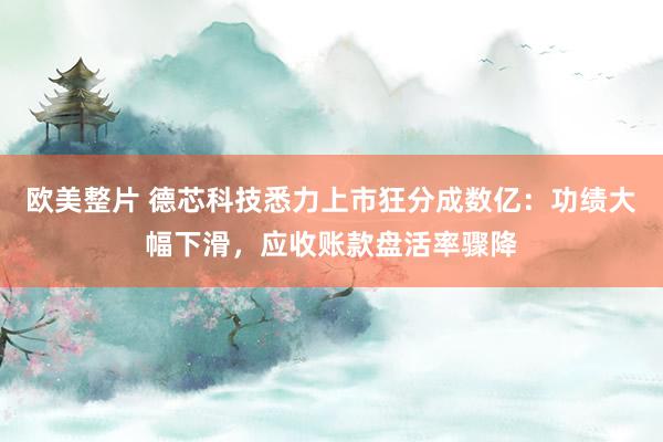 欧美整片 德芯科技悉力上市狂分成数亿：功绩大幅下滑，应收账款盘活率骤降