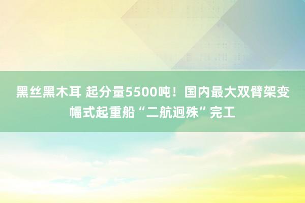 黑丝黑木耳 起分量5500吨！国内最大双臂架变幅式起重船“二航迥殊”完工