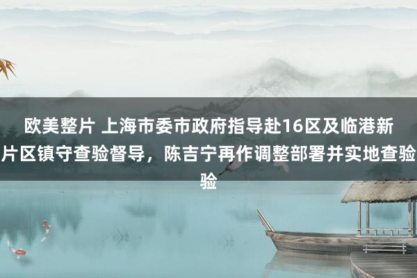 欧美整片 上海市委市政府指导赴16区及临港新片区镇守查验督导，陈吉宁再作调整部署并实地查验