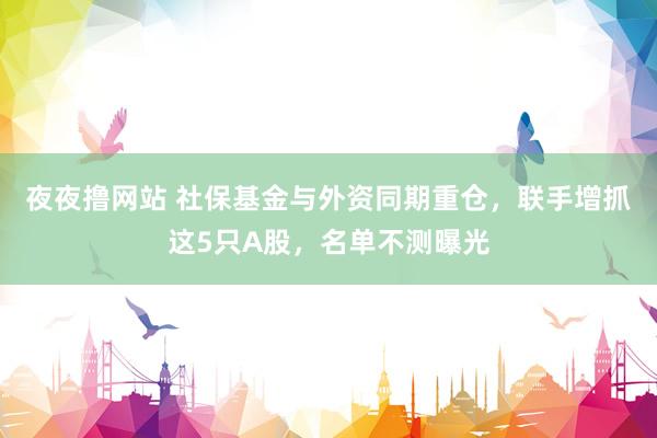 夜夜撸网站 社保基金与外资同期重仓，联手增抓这5只A股，名单不测曝光