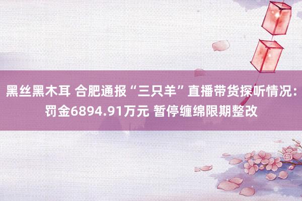 黑丝黑木耳 合肥通报“三只羊”直播带货探听情况：罚金6894.91万元 暂停缠绵限期整改