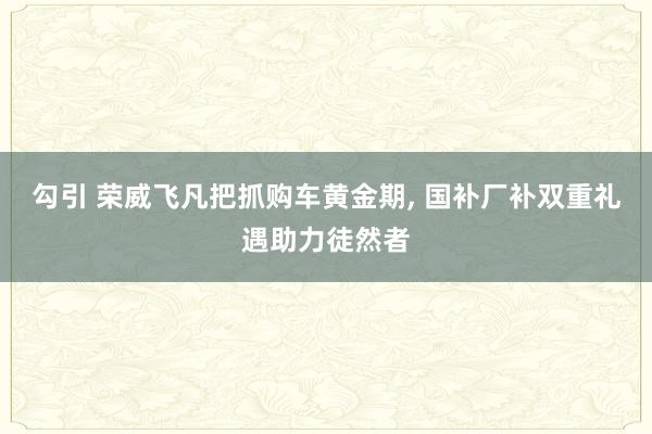 勾引 荣威飞凡把抓购车黄金期， 国补厂补双重礼遇助力徒然者