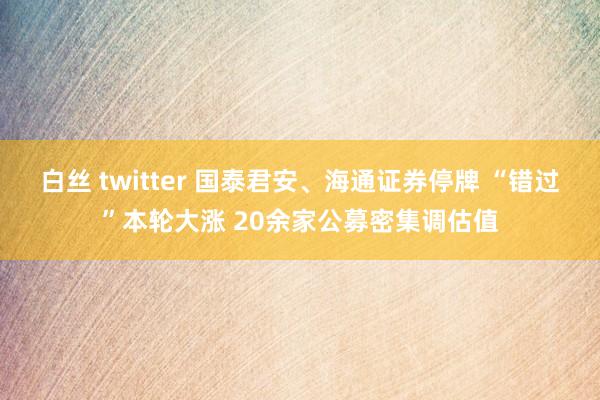 白丝 twitter 国泰君安、海通证券停牌 “错过”本轮大涨 20余家公募密集调估值