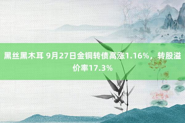 黑丝黑木耳 9月27日金铜转债高涨1.16%，转股溢价率17.3%