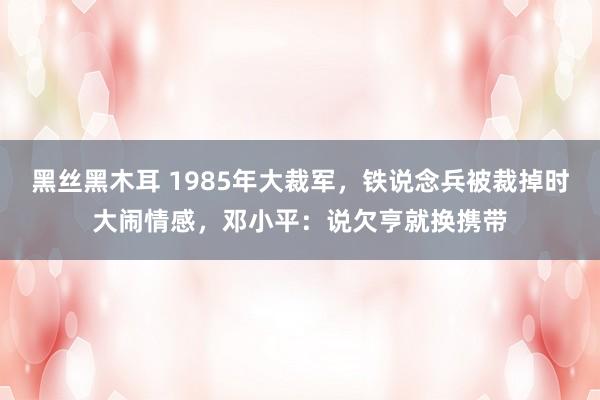 黑丝黑木耳 1985年大裁军，铁说念兵被裁掉时大闹情感，邓小平：说欠亨就换携带