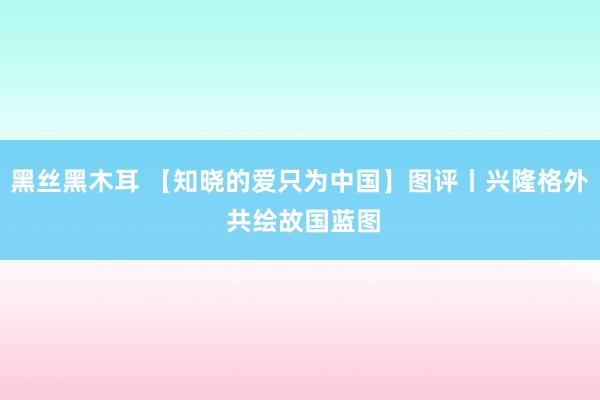 黑丝黑木耳 【知晓的爱只为中国】图评丨兴隆格外 共绘故国蓝图