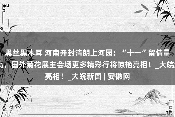 黑丝黑木耳 河南开封清朗上河园：“十一”留情量再创历史新高，国外菊花展主会场更多精彩行将惊艳亮相！_大皖新闻 | 安徽网