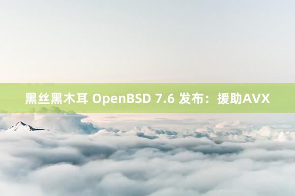 黑丝黑木耳 OpenBSD 7.6 发布：援助AVX