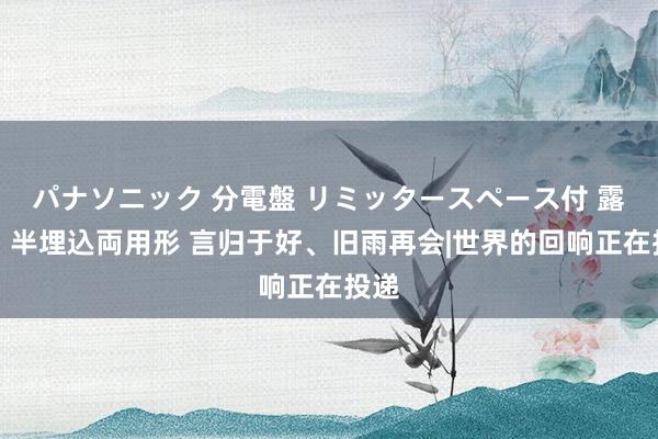 パナソニック 分電盤 リミッタースペース付 露出・半埋込両用形 言归于好、旧雨再会|世界的回响正在投递