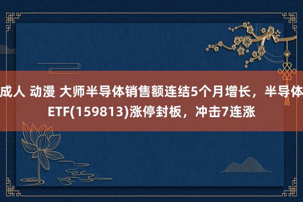 成人 动漫 大师半导体销售额连结5个月增长，半导体ETF(159813)涨停封板，冲击7连涨