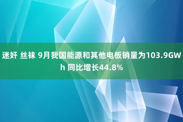 迷奸 丝袜 9月我国能源和其他电板销量为103.9GWh 同比增长44.8%