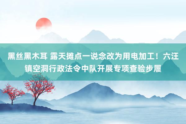 黑丝黑木耳 露天摊点一说念改为用电加工！六汪镇空洞行政法令中队开展专项查验步履