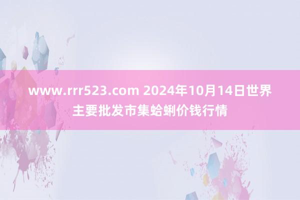 www.rrr523.com 2024年10月14日世界主要批发市集蛤蜊价钱行情