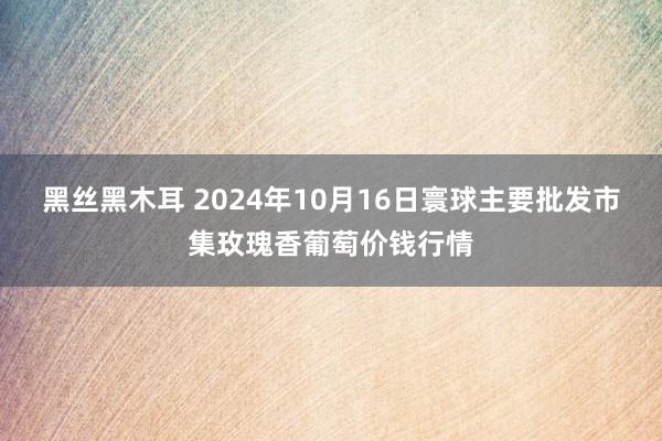 黑丝黑木耳 2024年10月16日寰球主要批发市集玫瑰香葡萄价钱行情