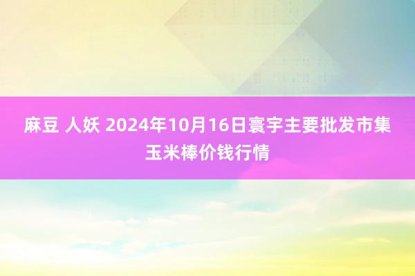 麻豆 人妖 2024年10月16日寰宇主要批发市集玉米棒价钱行情