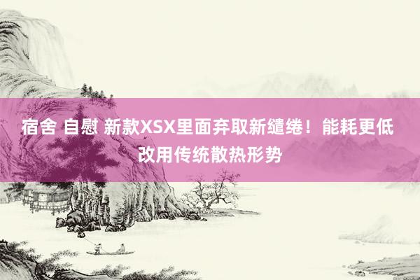 宿舍 自慰 新款XSX里面弃取新缱绻！能耗更低 改用传统散热形势