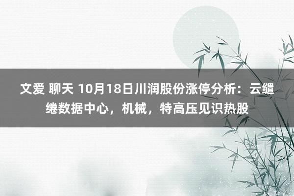 文爱 聊天 10月18日川润股份涨停分析：云缱绻数据中心，机械，特高压见识热股