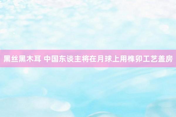 黑丝黑木耳 中国东谈主将在月球上用榫卯工艺盖房