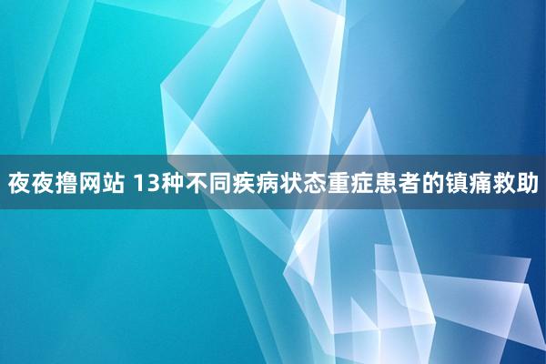 夜夜撸网站 13种不同疾病状态重症患者的镇痛救助