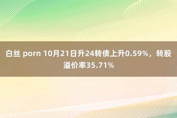 白丝 porn 10月21日升24转债上升0.59%，转股溢价率35.71%