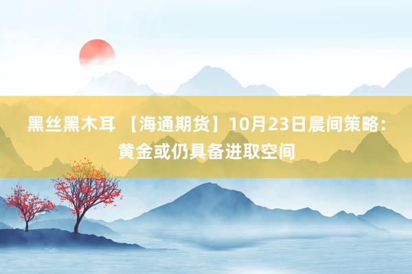 黑丝黑木耳 【海通期货】10月23日晨间策略：黄金或仍具备进取空间