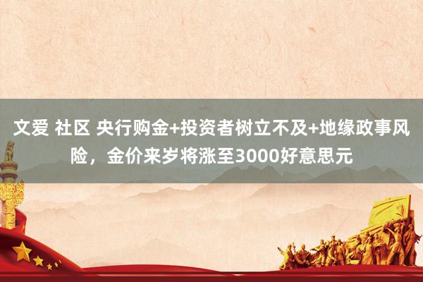 文爱 社区 央行购金+投资者树立不及+地缘政事风险，金价来岁将涨至3000好意思元