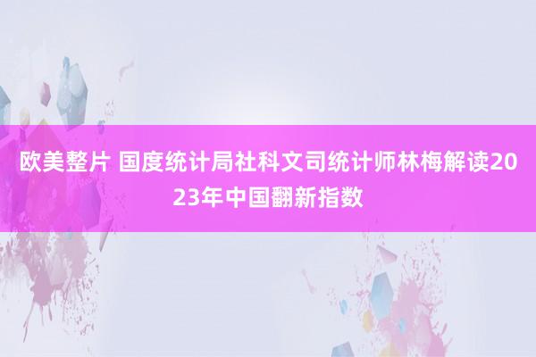 欧美整片 国度统计局社科文司统计师林梅解读2023年中国翻新指数