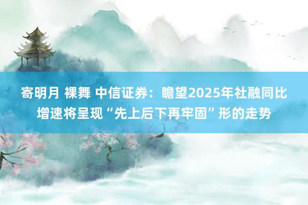 寄明月 裸舞 中信证券：瞻望2025年社融同比增速将呈现“先上后下再牢固”形的走势