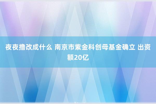 夜夜撸改成什么 南京市紫金科创母基金确立 出资额20亿