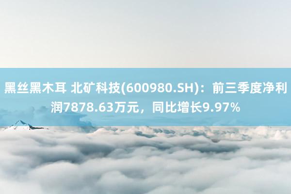 黑丝黑木耳 北矿科技(600980.SH)：前三季度净利润7878.63万元，同比增长9.97%