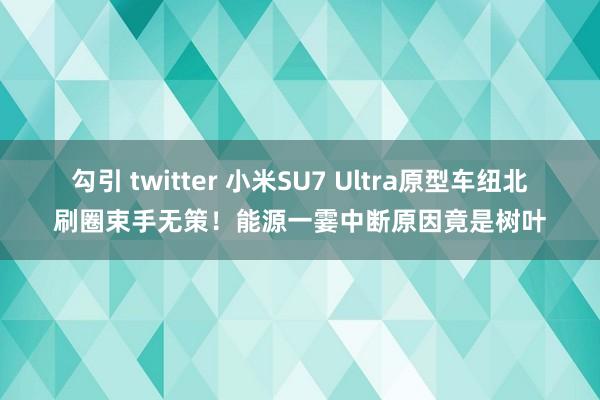 勾引 twitter 小米SU7 Ultra原型车纽北刷圈束手无策！能源一霎中断原因竟是树叶