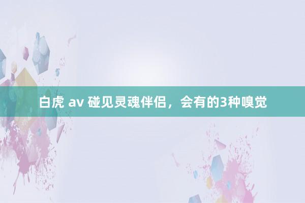 白虎 av 碰见灵魂伴侣，会有的3种嗅觉