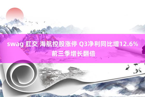 swag 肛交 海航控股涨停 Q3净利同比增12.6% 前三季增长翻倍