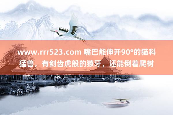 www.rrr523.com 嘴巴能伸开90°的猫科猛兽，有剑齿虎般的獠牙，还能倒着爬树